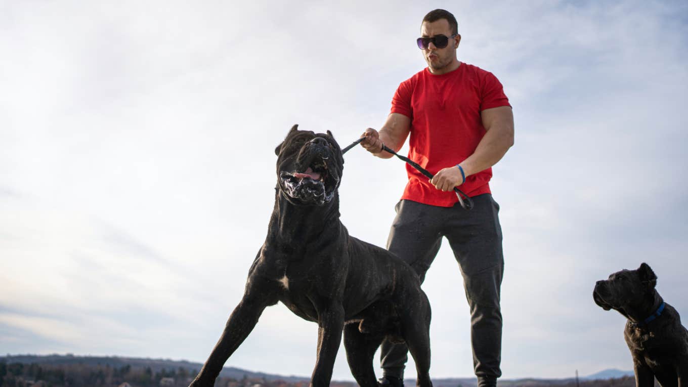 The Odd Ways A Narcissist Uses Their Pets Against You man pulling leash on dog while walking pets outside