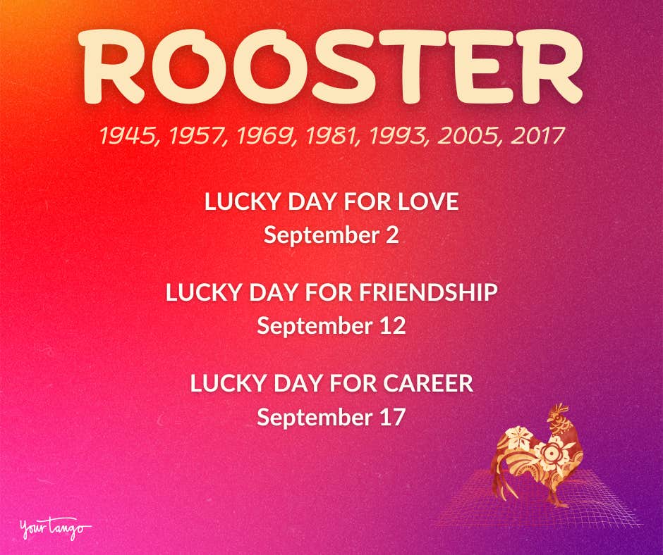 rooster chinese zodiac sign horoscope september 2024