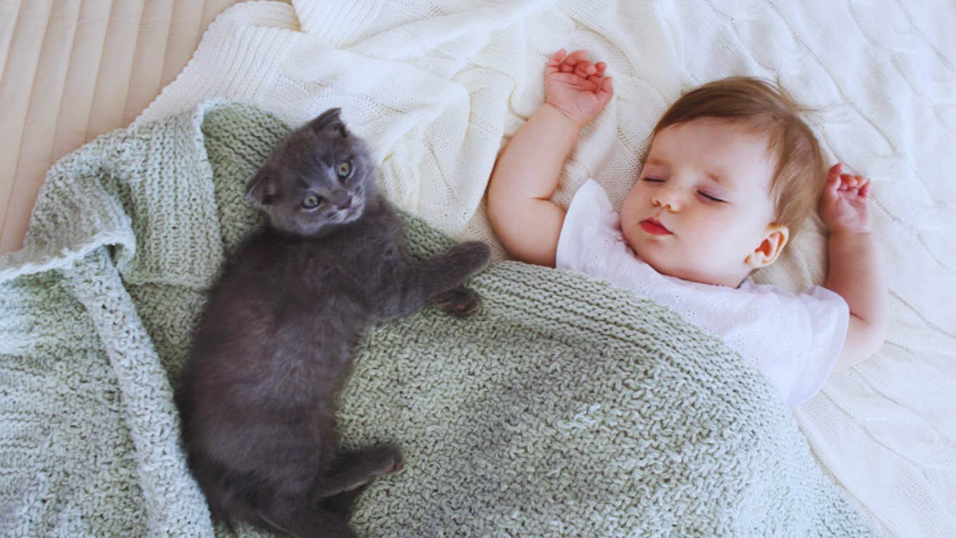 New Mom Admits She Hated Her Pet Cat After Giving Birth And Hoped It Would Die new baby, cat