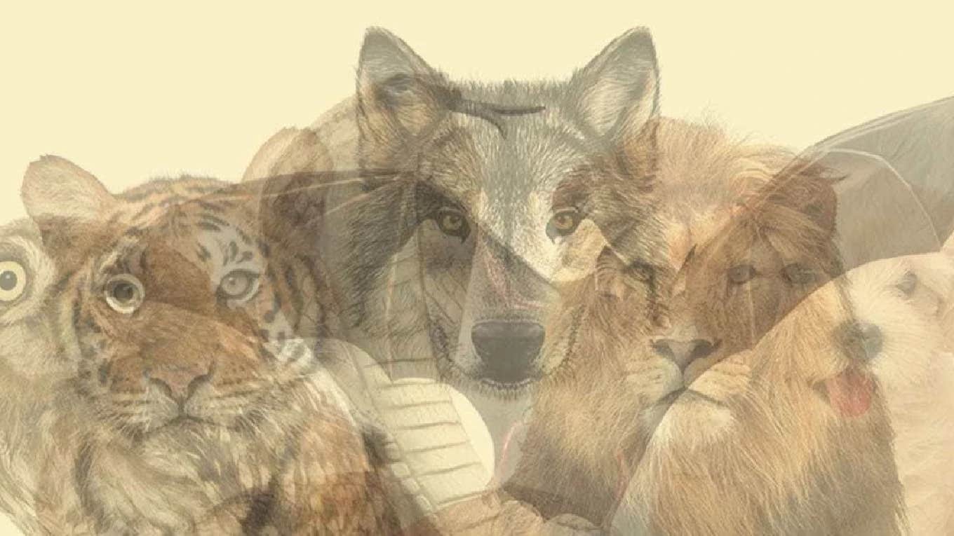 Spirit Animal Personality Test: What You See First Reveals Your Hidden Self image of spirit animals for personality test