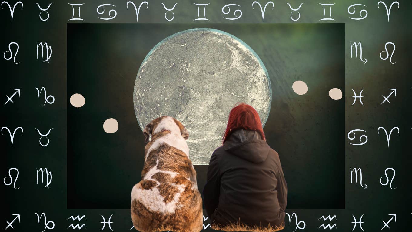 Horoscope For Each Zodiac Sign On November 16, 2024 Horoscope For Each Zodiac Sign On November 16, 2024