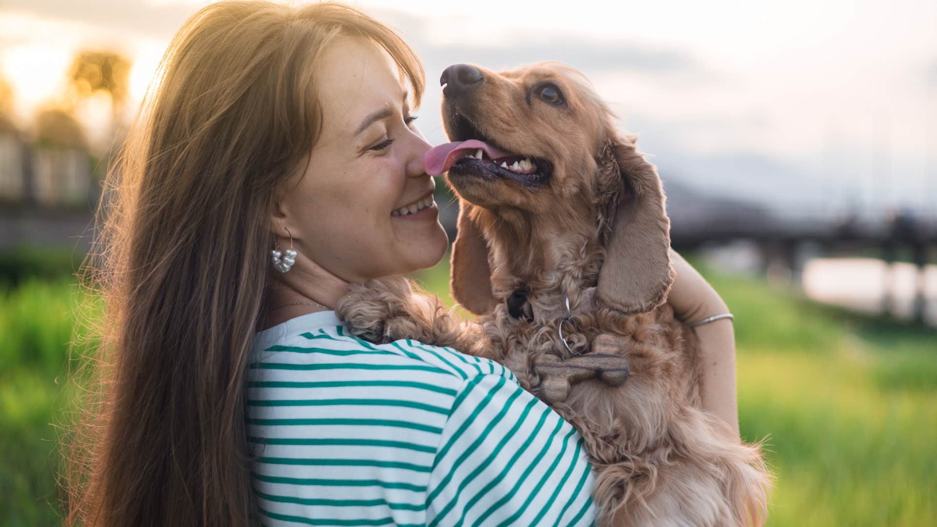 cocker spaniel dog breed veterinarian wouldn't own 