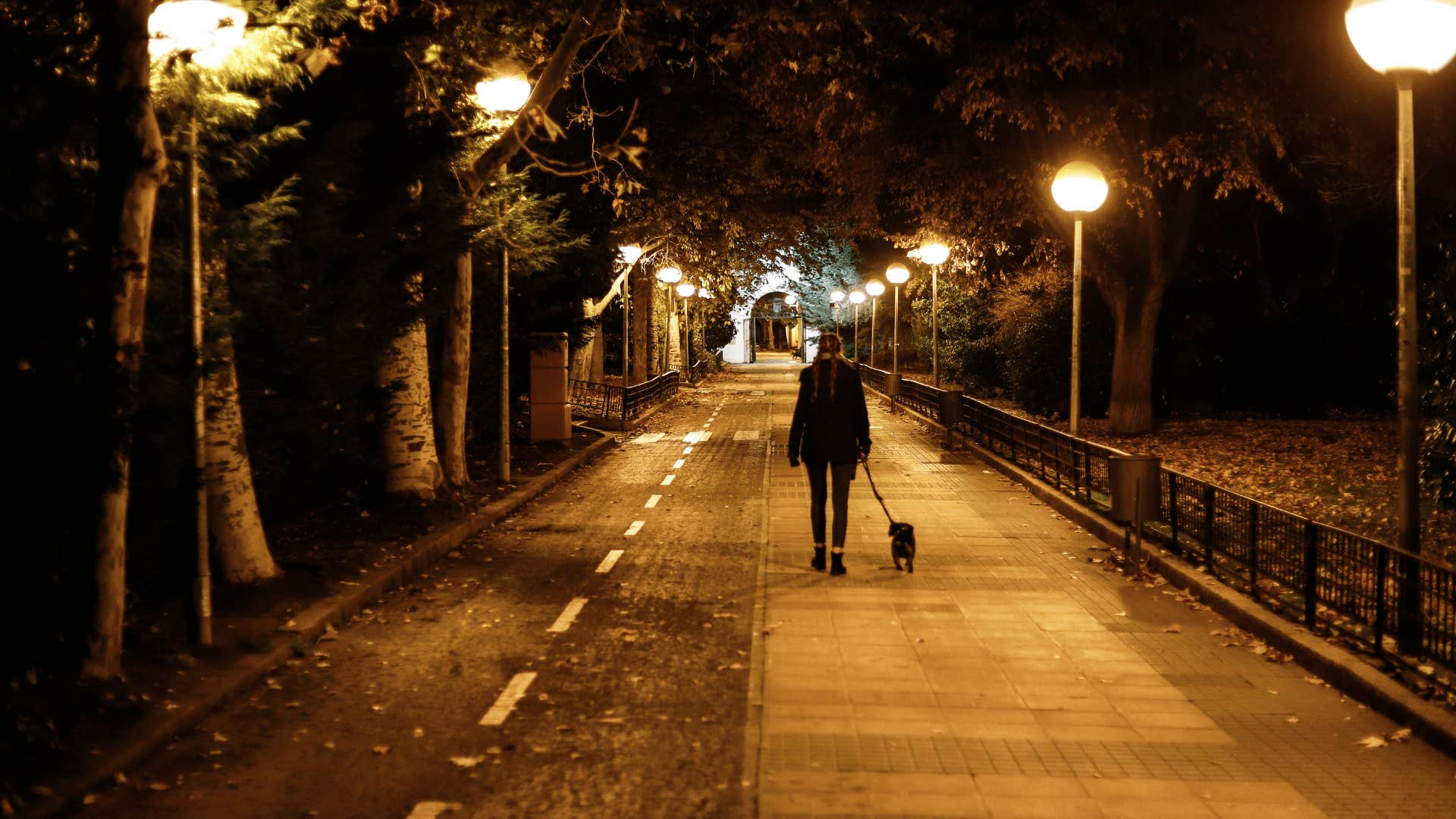 woman walking dog at night