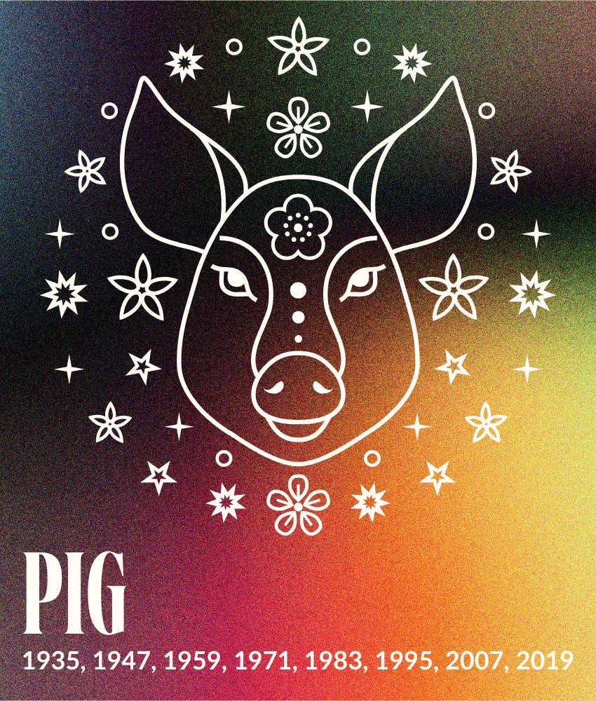 pig chinese zodiac sign’s monthly horoscope april 2025