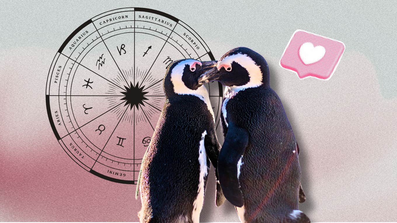 relationships get better zodiac sign march 24 30 2025 relationships get better zodiac sign march 24 30 2025