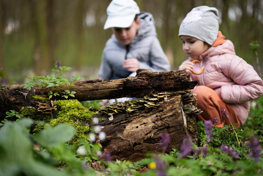 Being In This Specific Location Immediately Improves Mental Health, According To Research