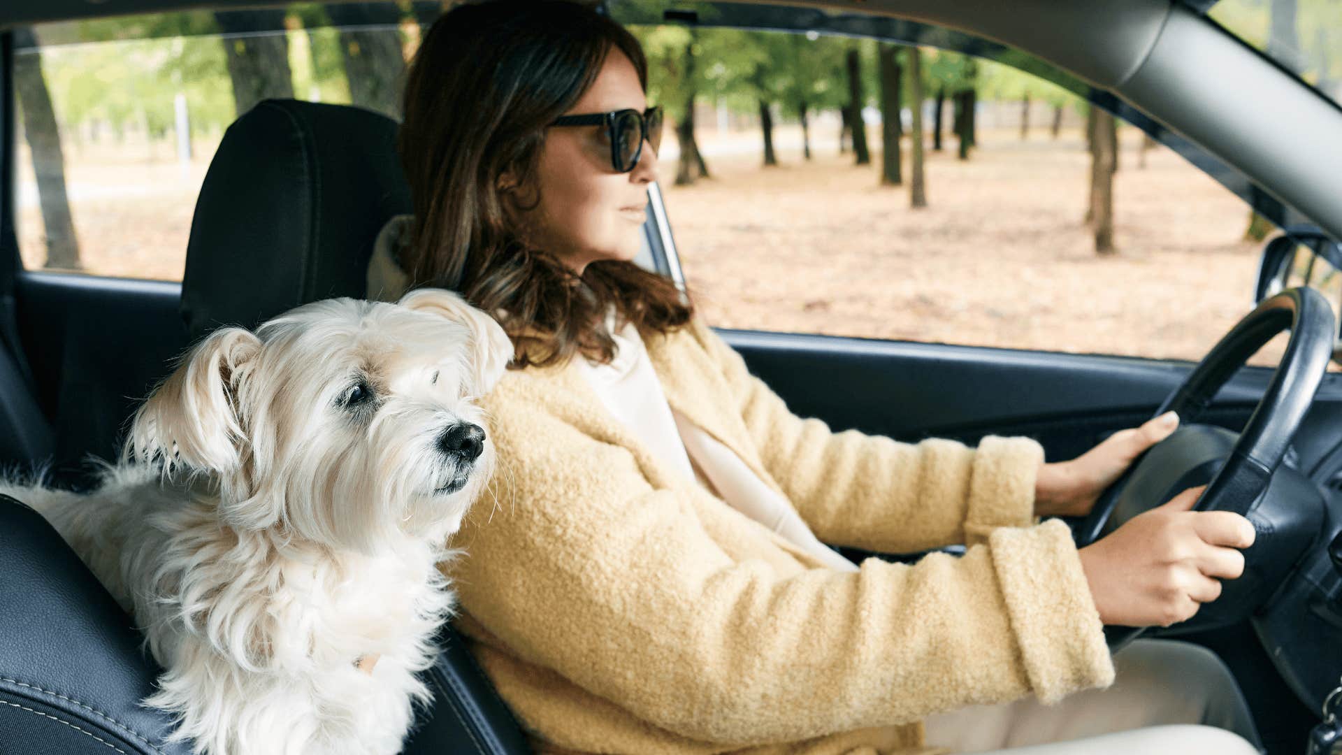 Gen Z woman taking her dog everywhere with her