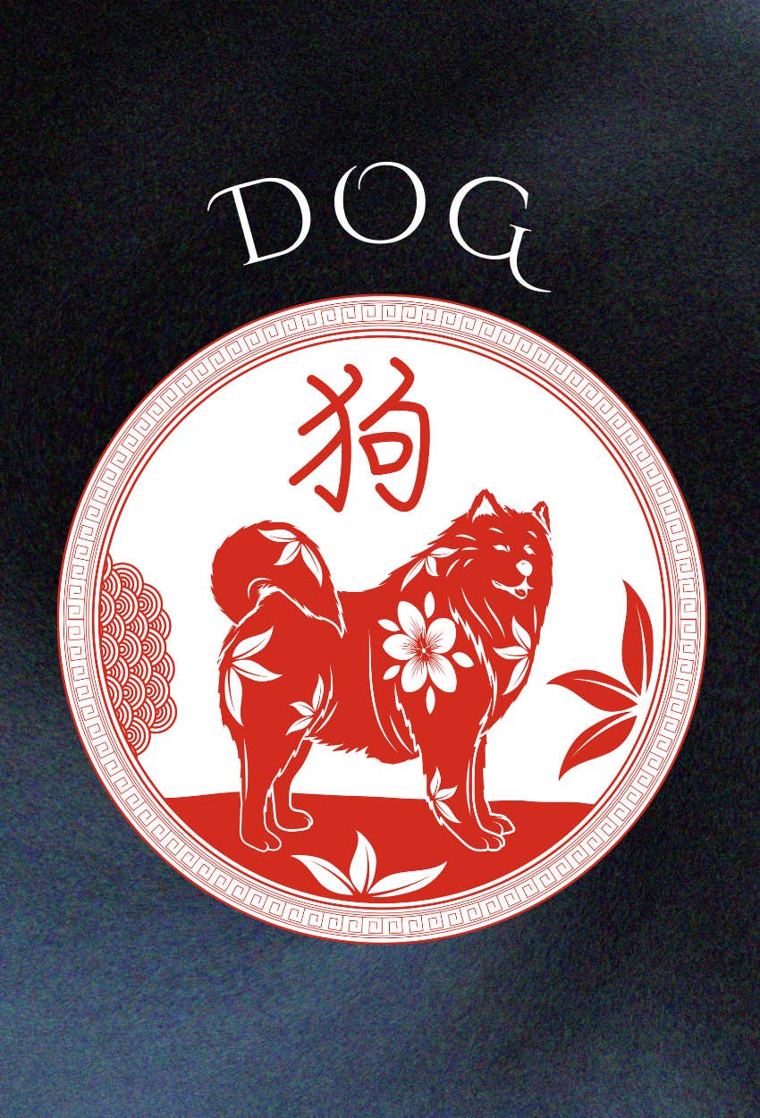 dog chinese zodiac signs experience luck good fortune week april 14