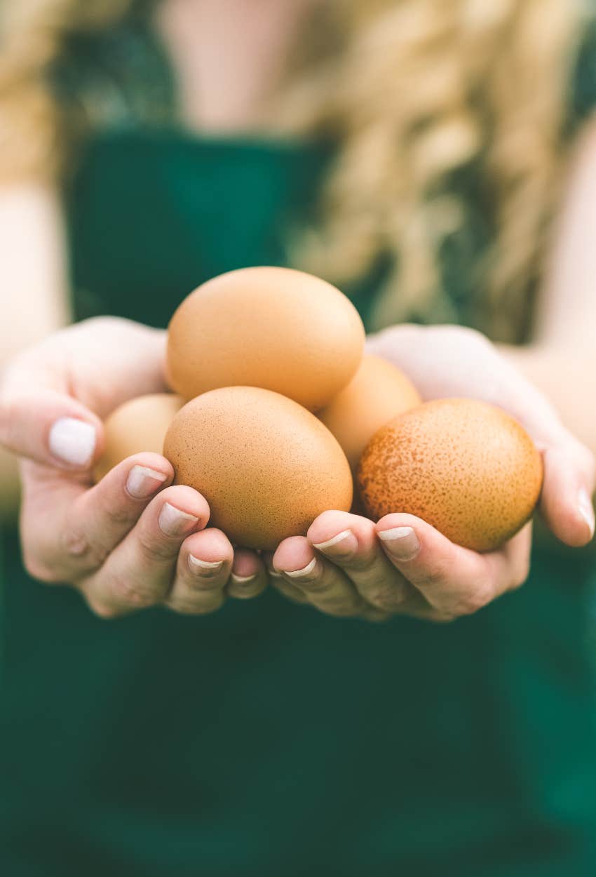 free eggs