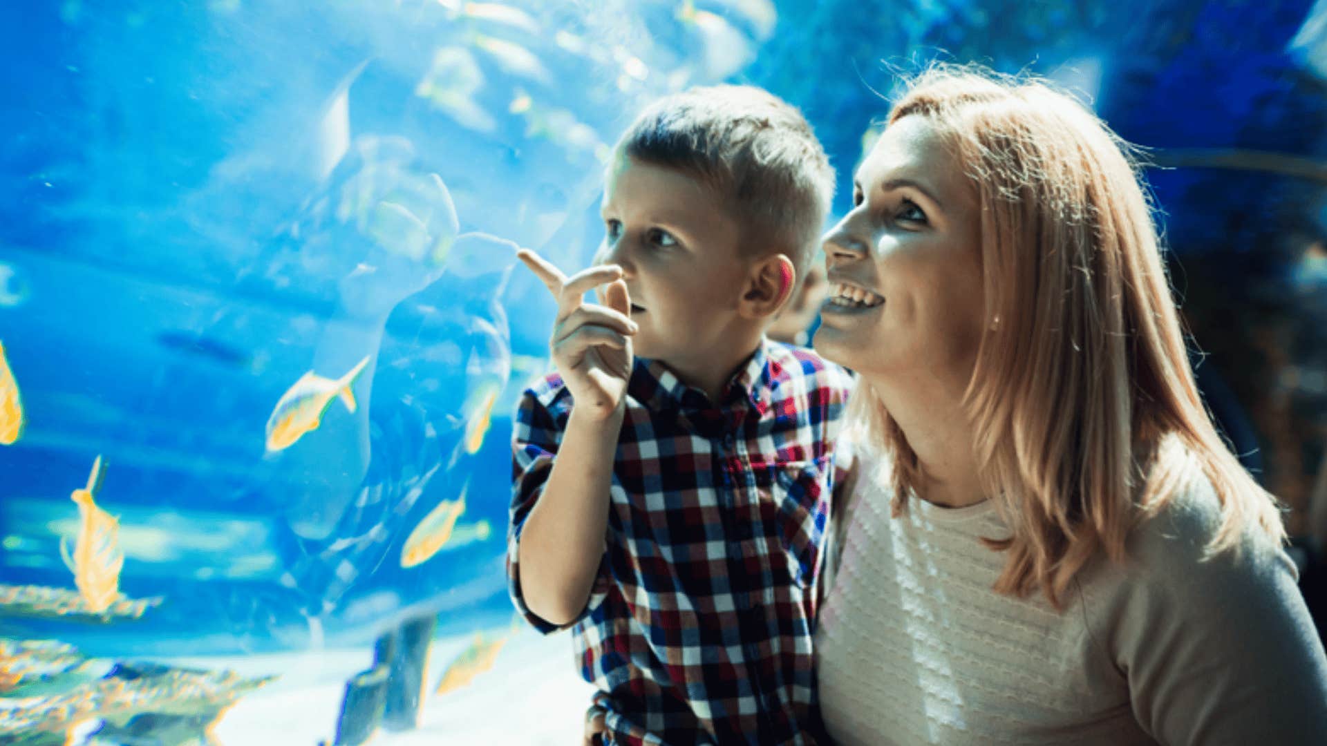 mom and son watching fish in aquarium