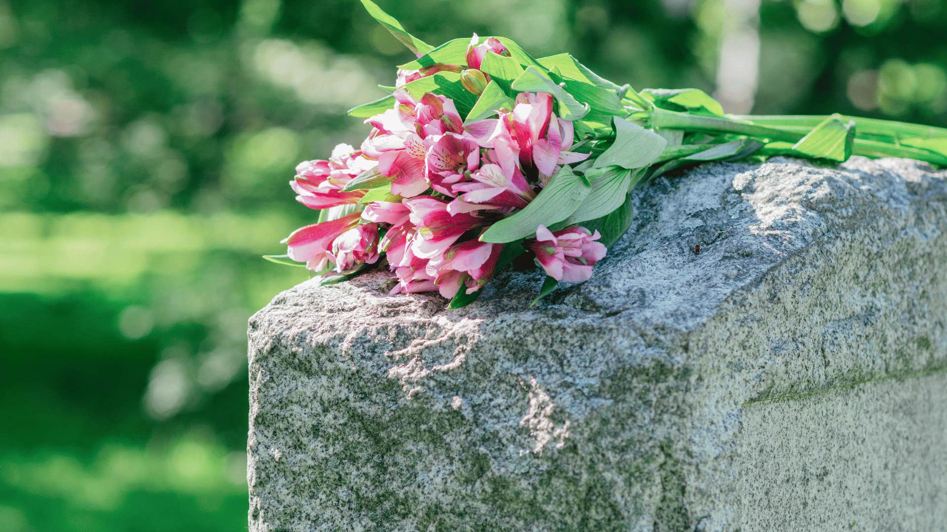 flowers left during a cemetery stroll
