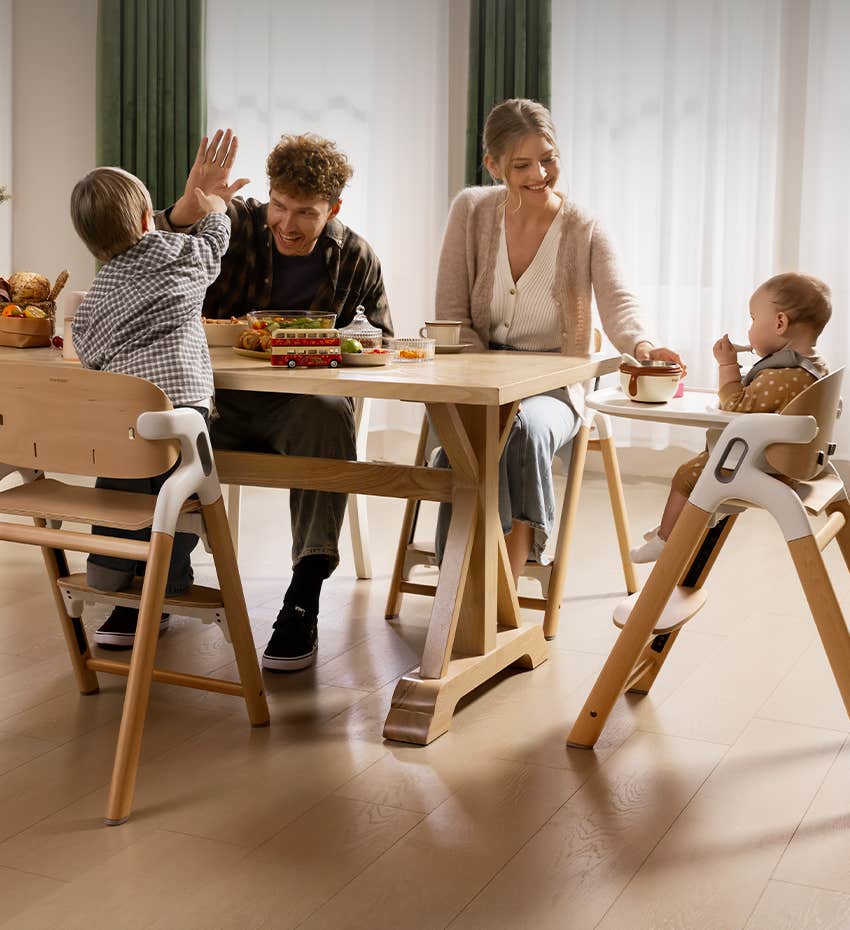 momcozy dinerpal high chair