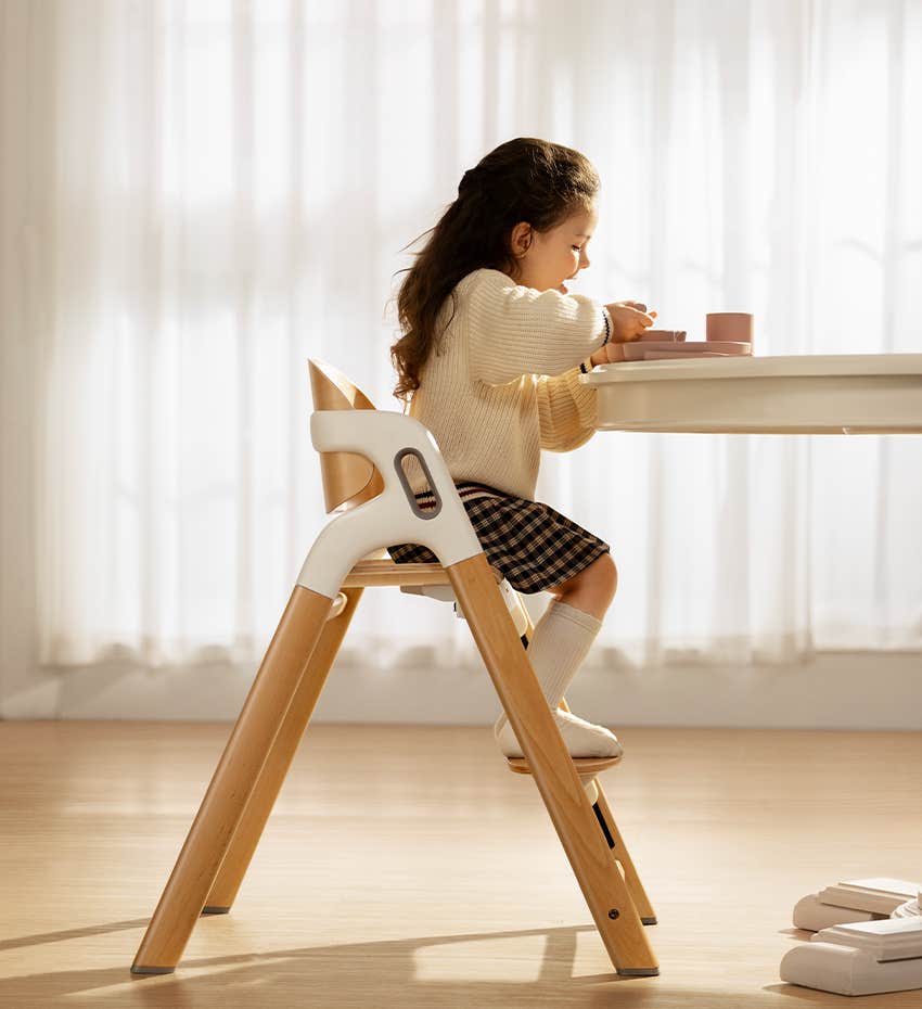 momcozy dinerpal high chair