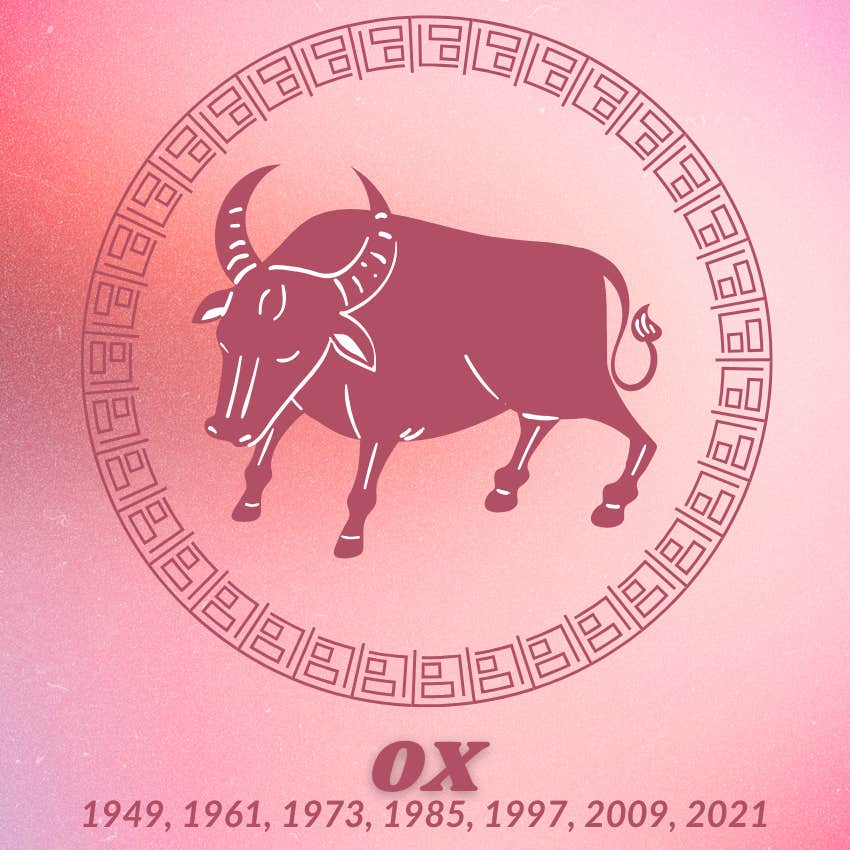 ox chinese zodiac signs luck financial abundance April 20 2025
