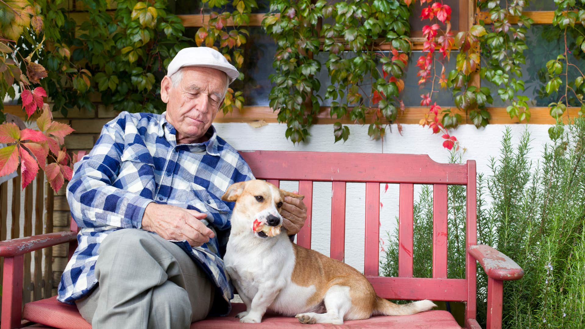 man feeling needed by dog sitting on bench with him