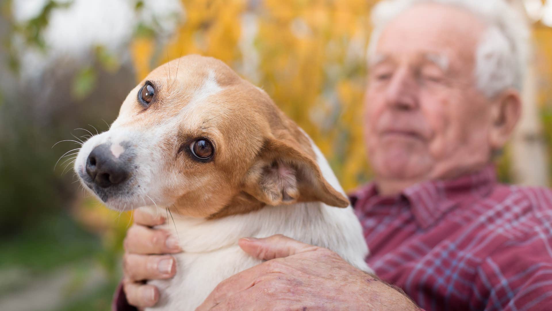 older man petting dog lovingly