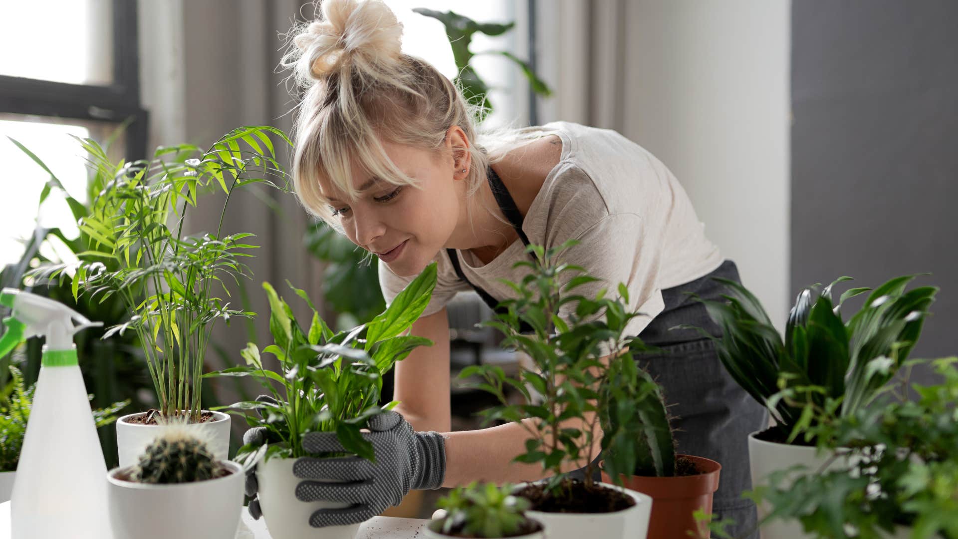 woman repotting plants in her home