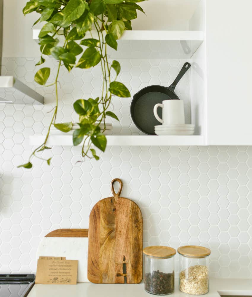plants personality clues kitchen reveals