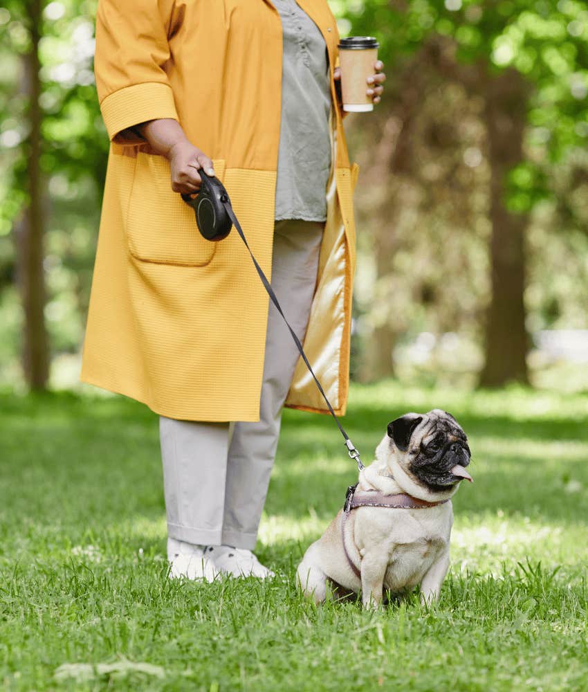 dog retractable leash things pet parents do give veterinarians ick