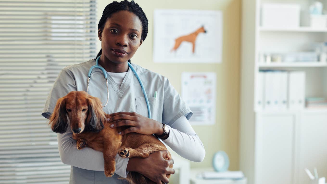 Things Pet Parents Do That Give Veterinarians The Ick veterinarian who has the ick from things pet parents do