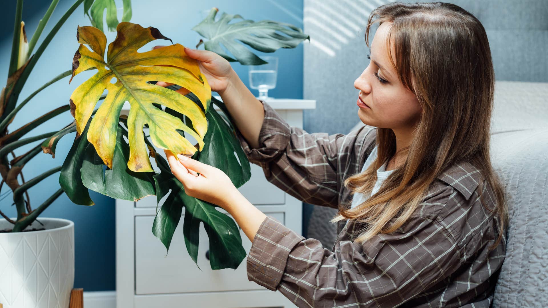 woman looking at dead plants in her home