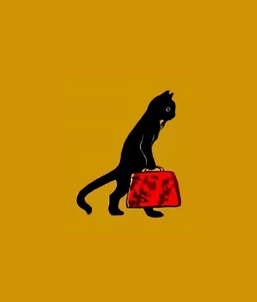 cat with red suitcase visual personality test reveals the type of person you are at your core
