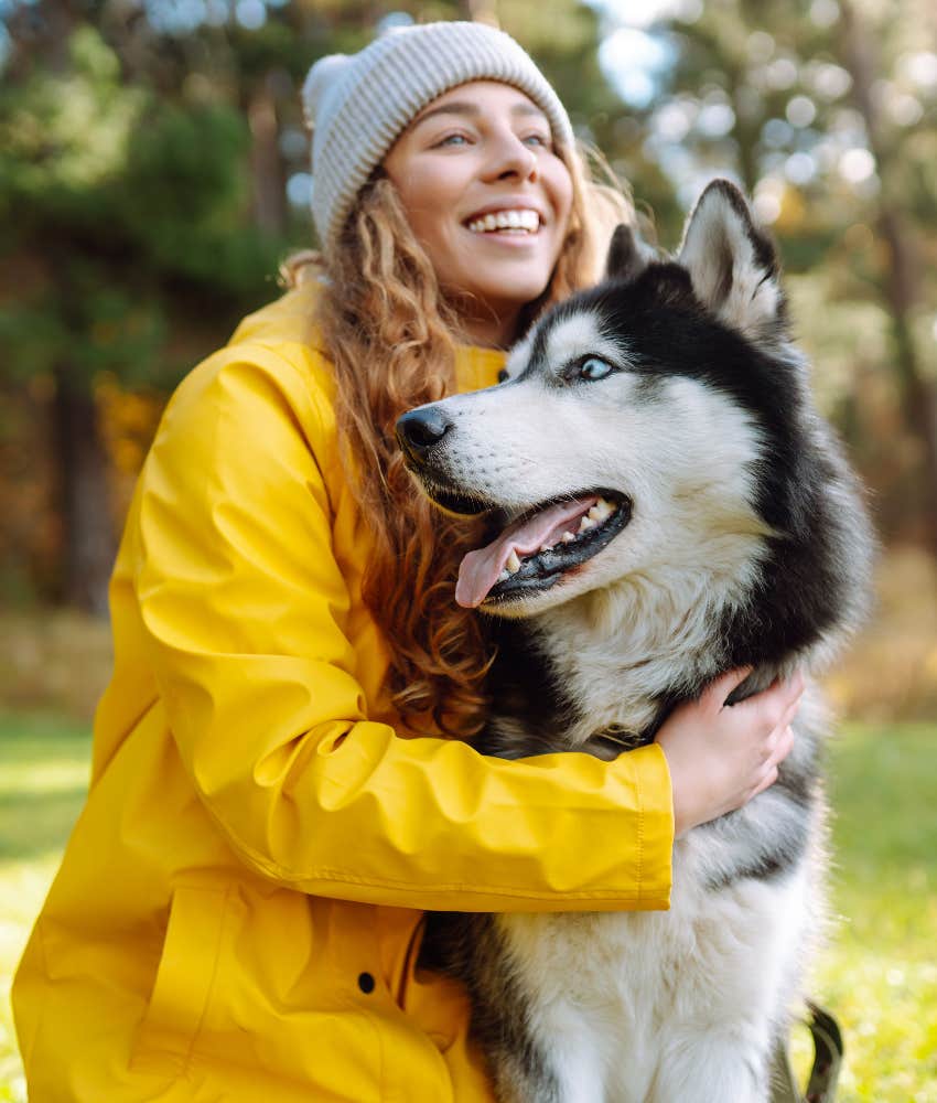 woman chooses a husky for a dog