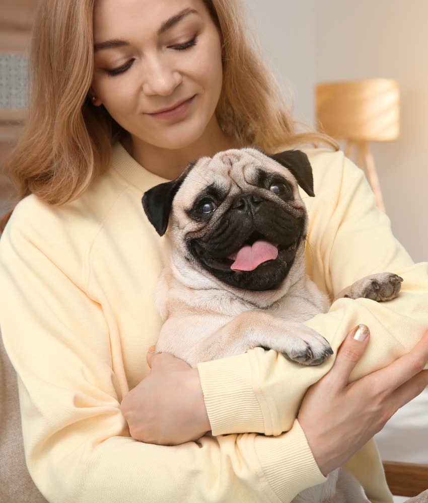 woman chooses a pug for a dog