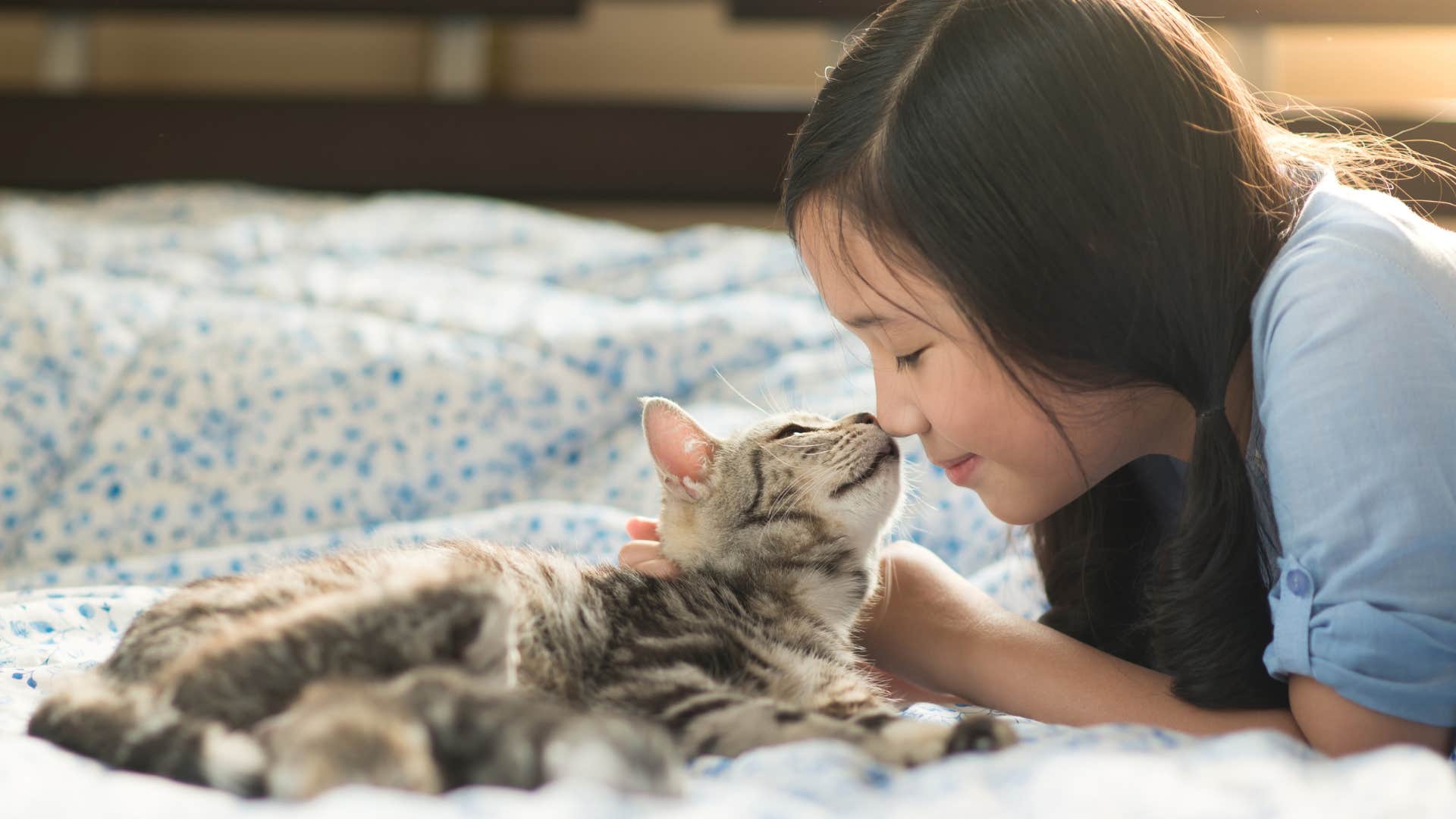 cat trying to groom its owner