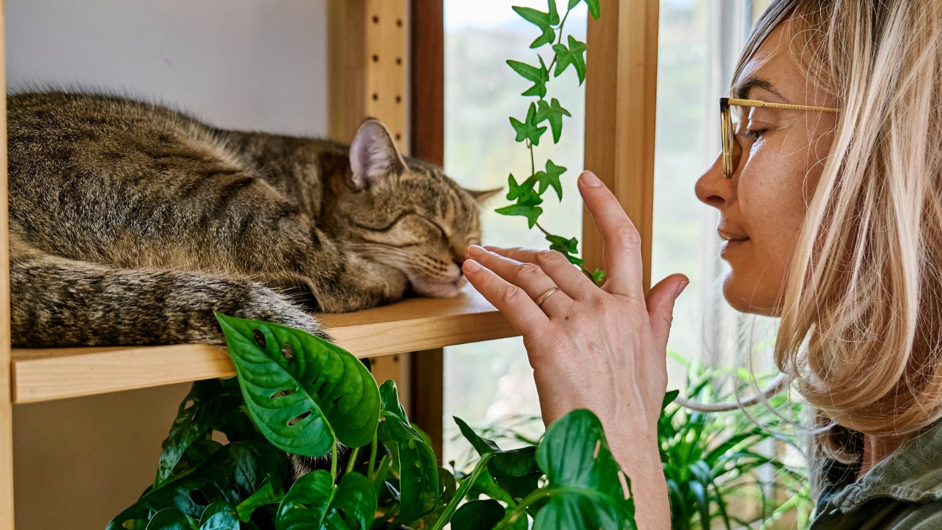 woman touching her cats nose