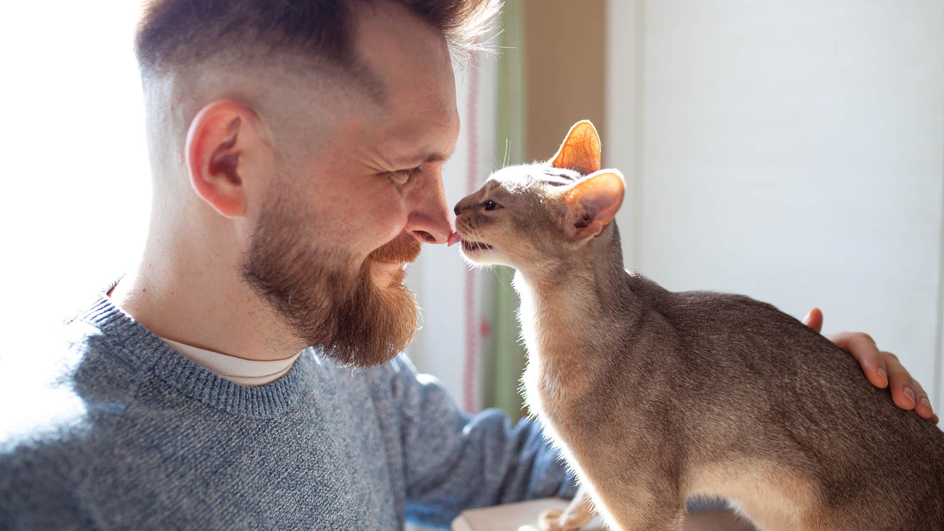 cat licking mans nose