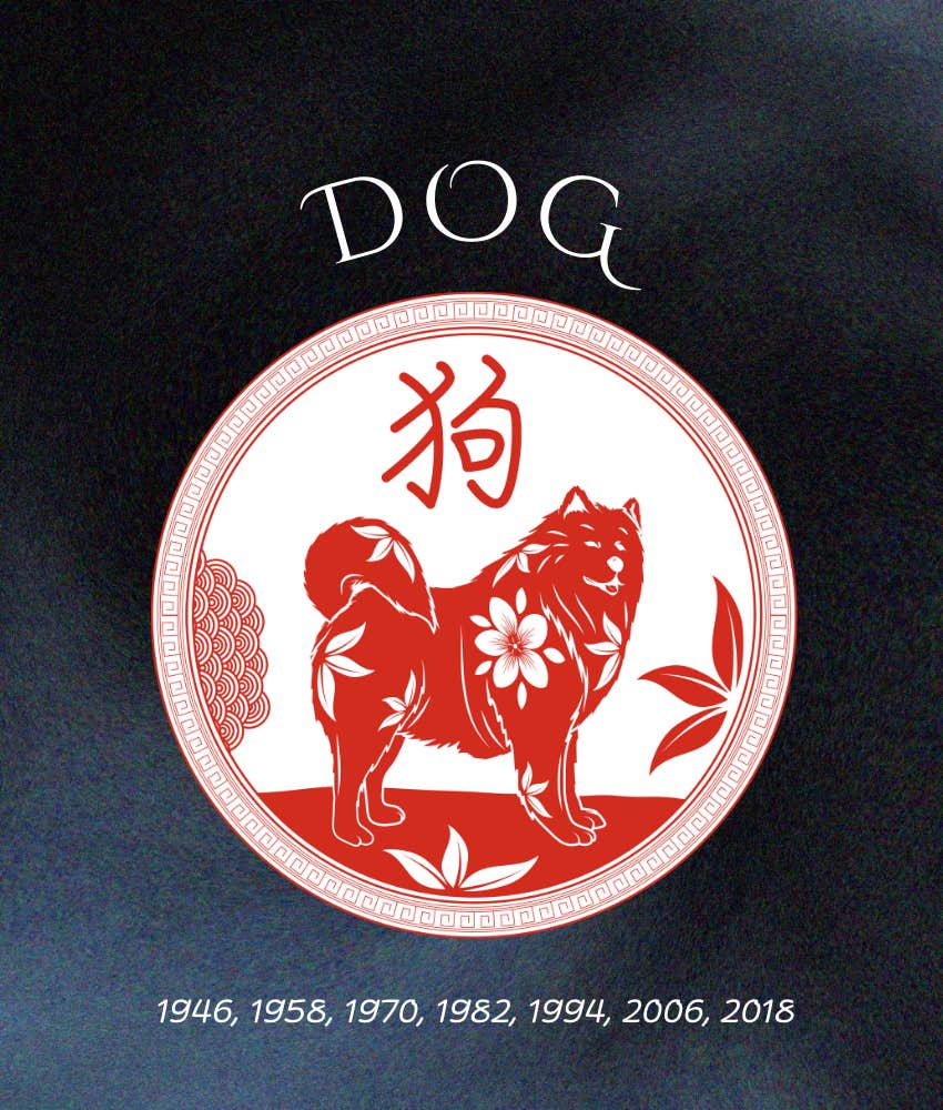 dog weekly horoscope chinese zodiac sign may 5 - 11, 2025