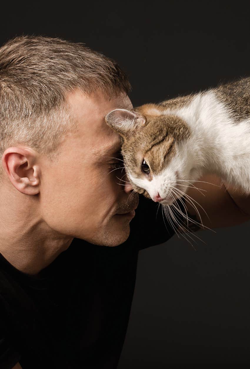 Cat headbutting owner