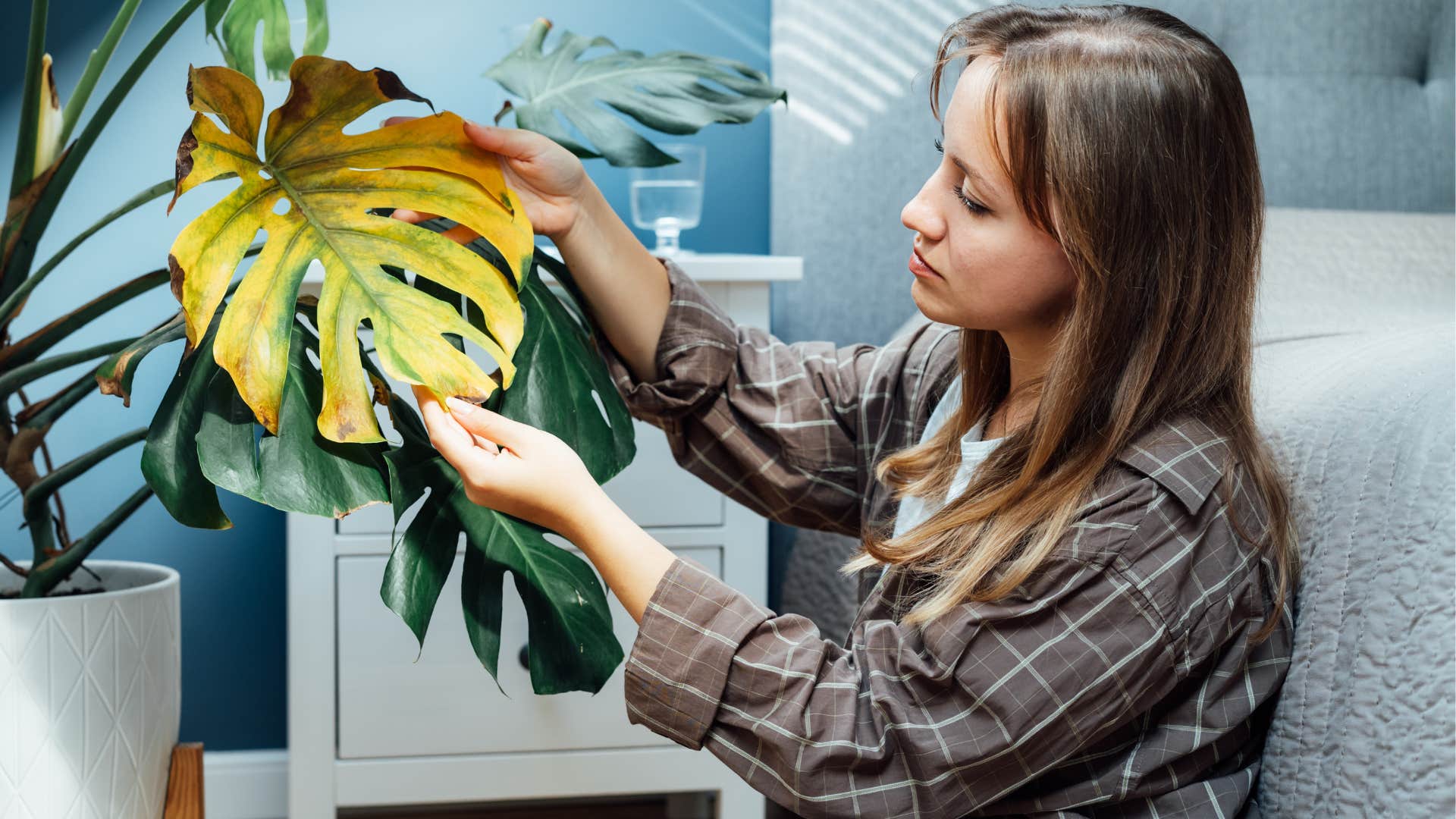 Gen Z woman gardening and looking at her indoor plant
