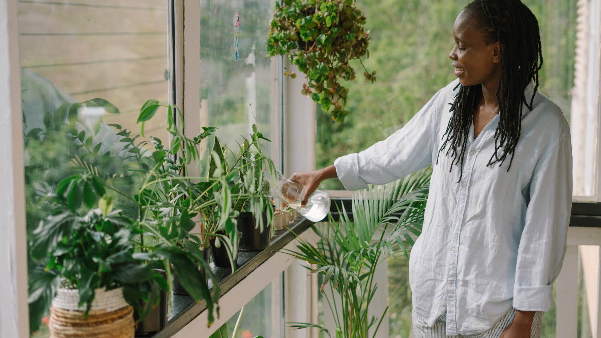 high-level thinkers usually have plants in their home