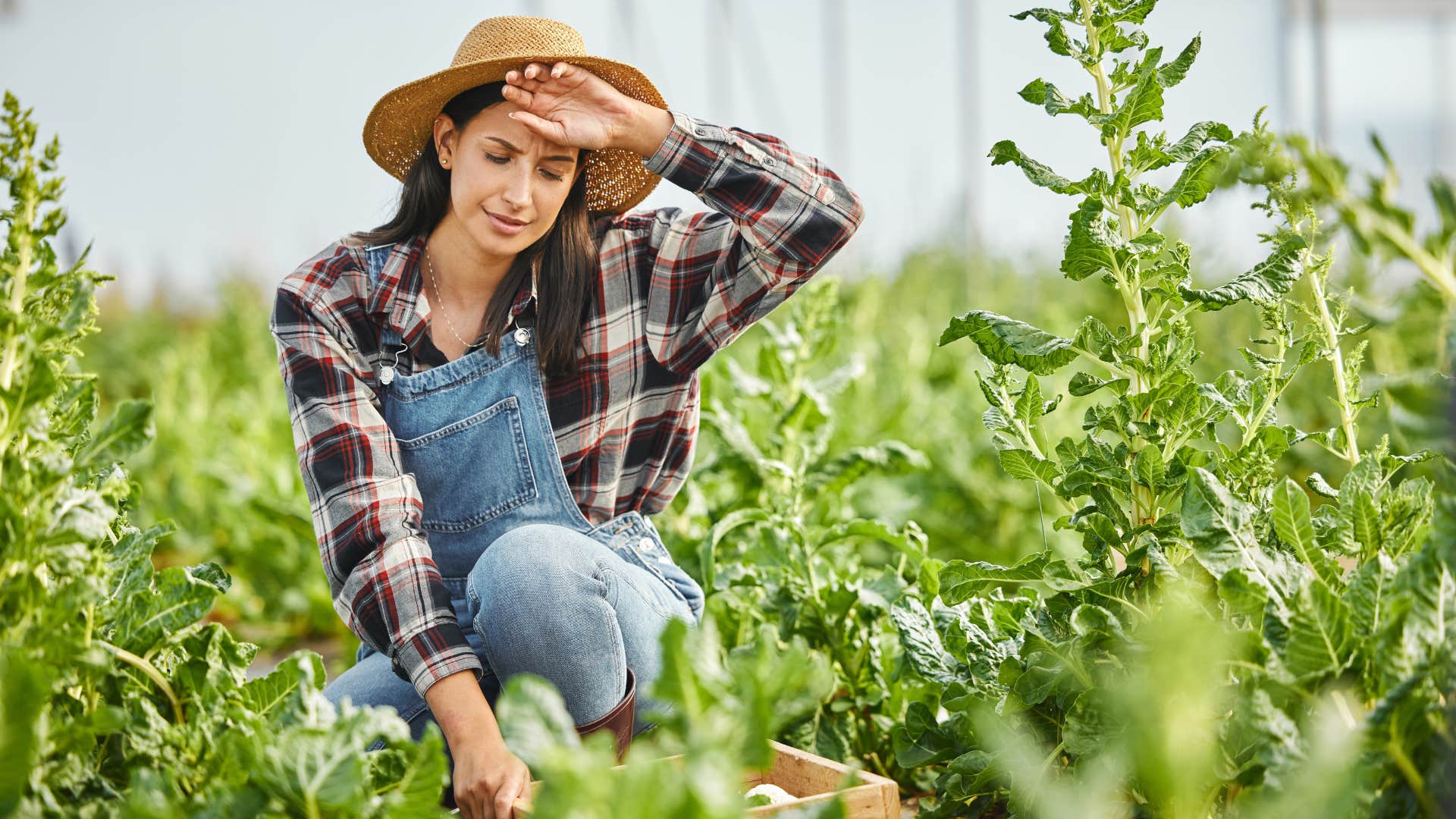woman wearing overalls in the short rows finishes up farm work