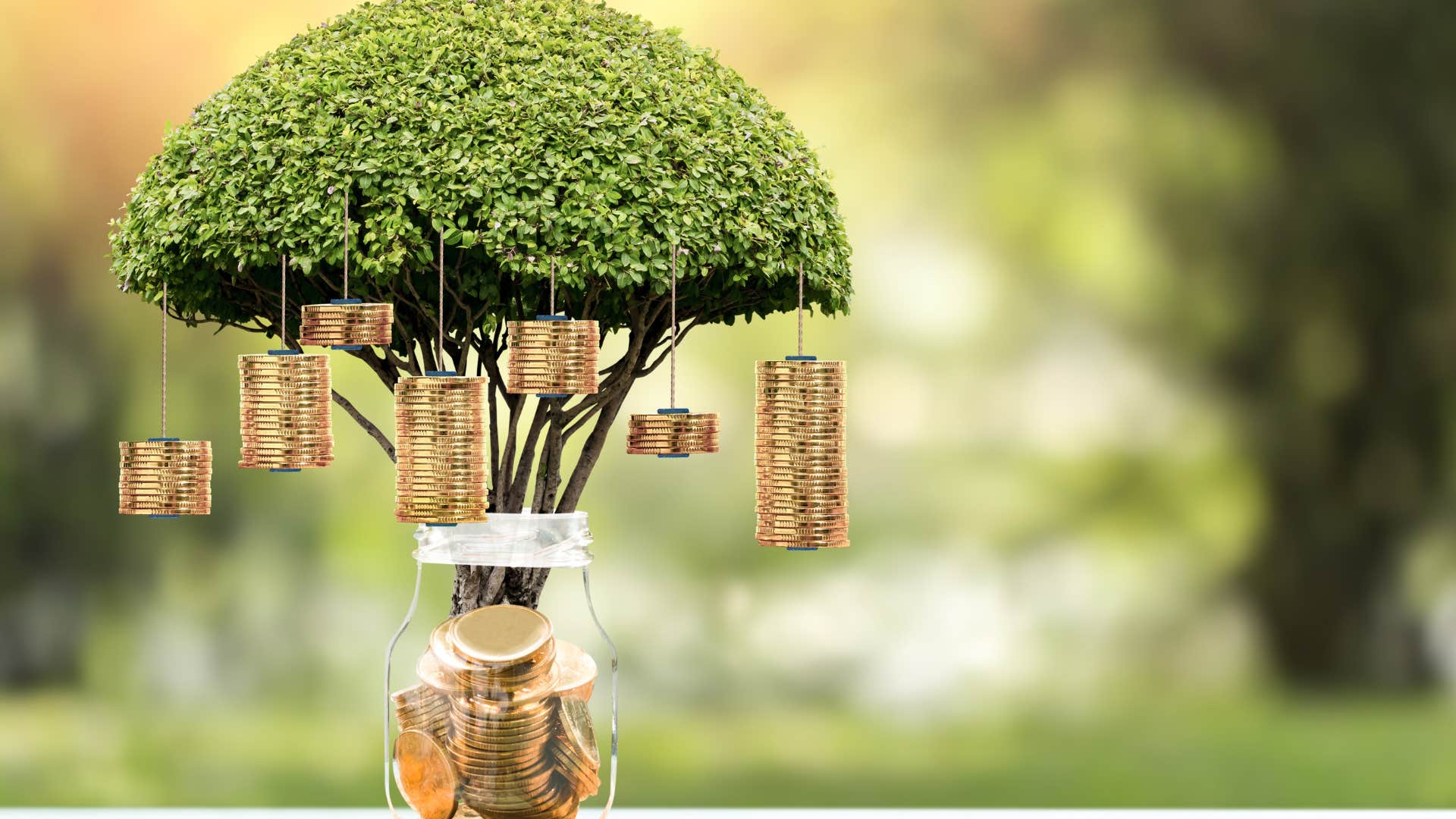 person attracting wealth by adding a money tree