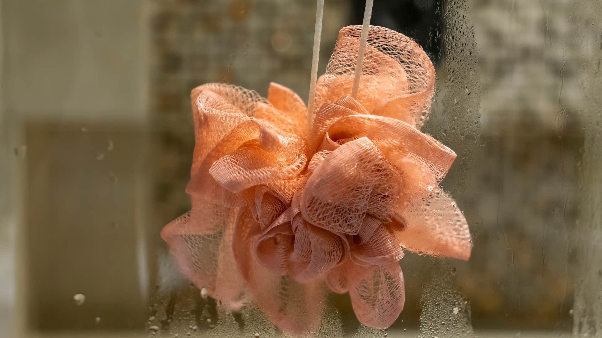 Loofah in bathroom 