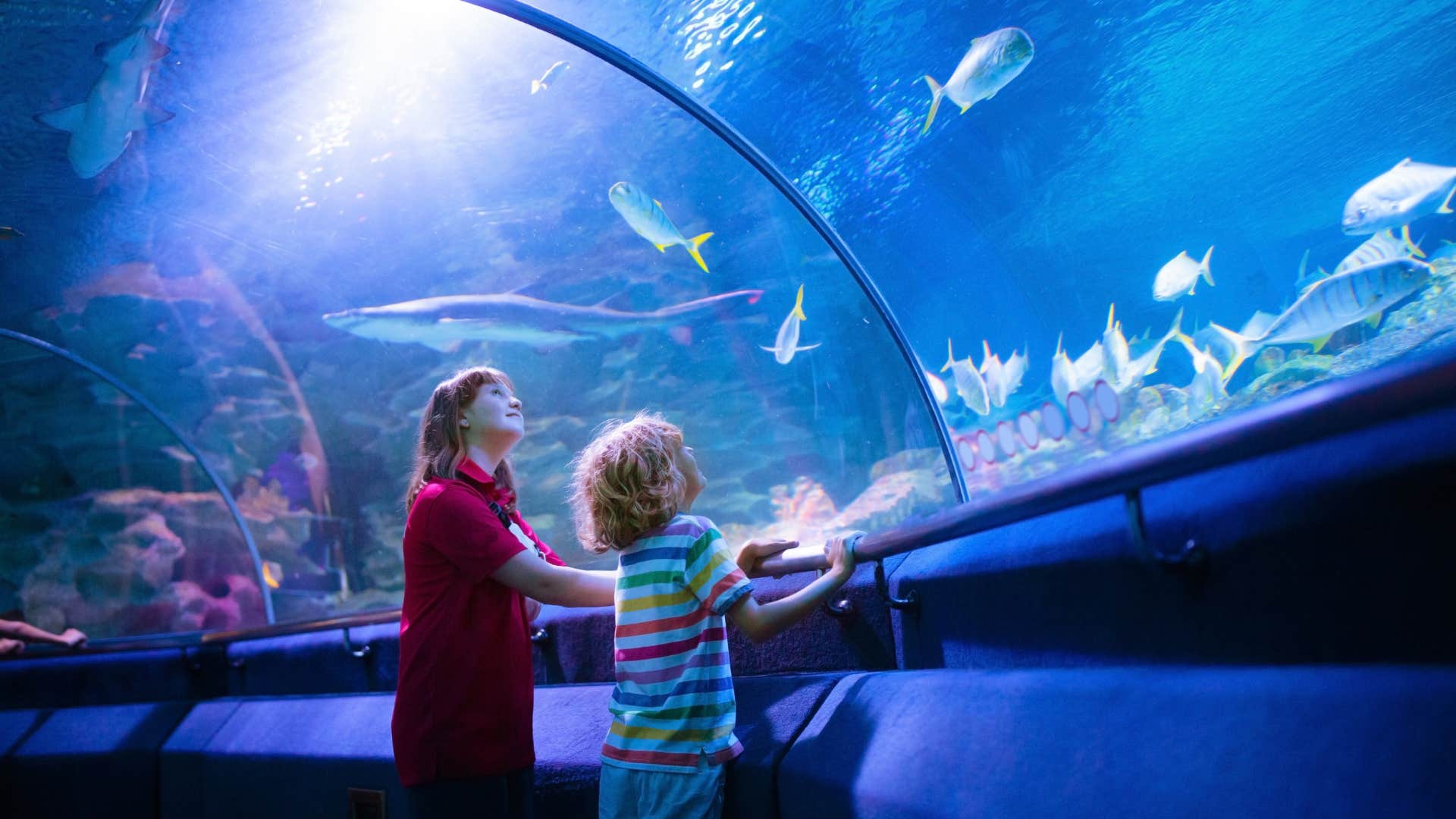 children trying new things as benefit to add years to their lives