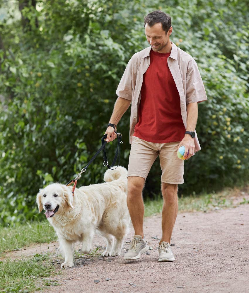 pet healing owner by encouraging good habits