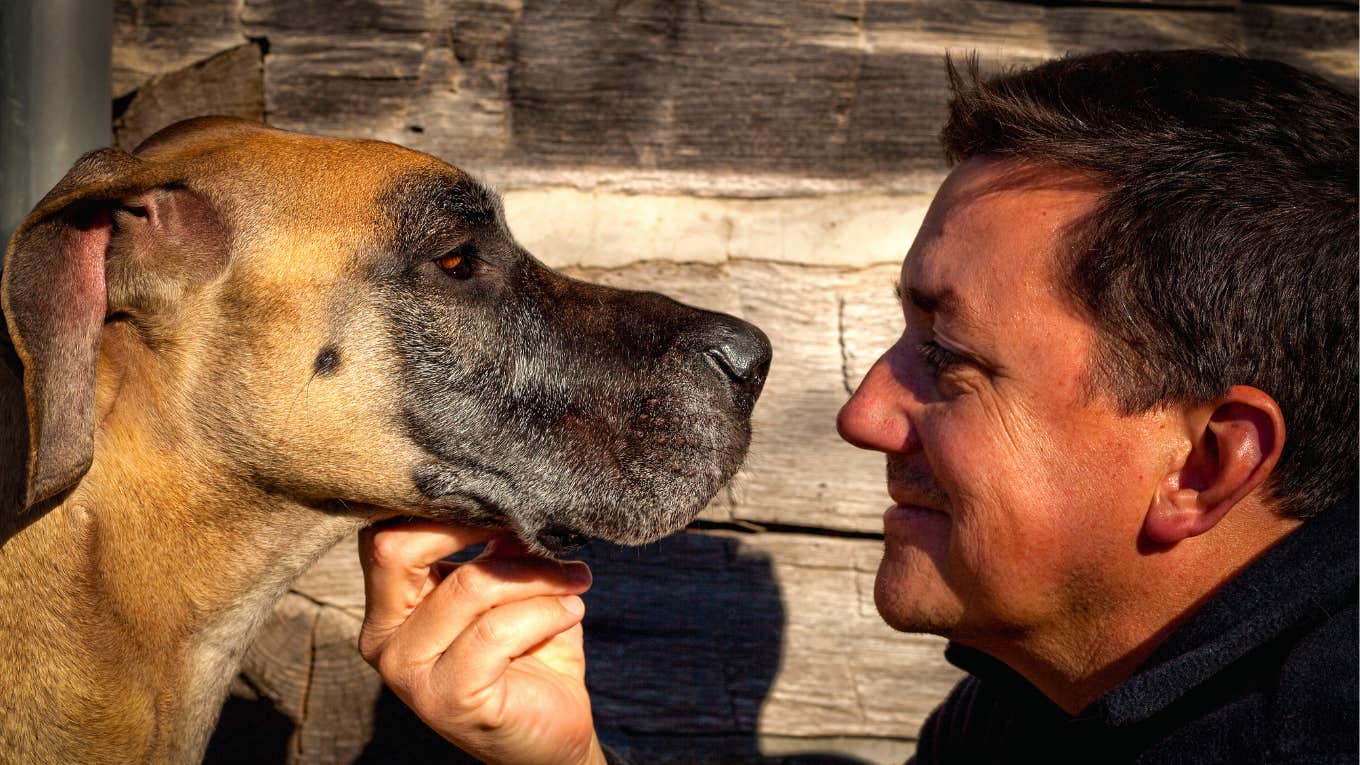 why people look like their dogs research man who looks like his dog