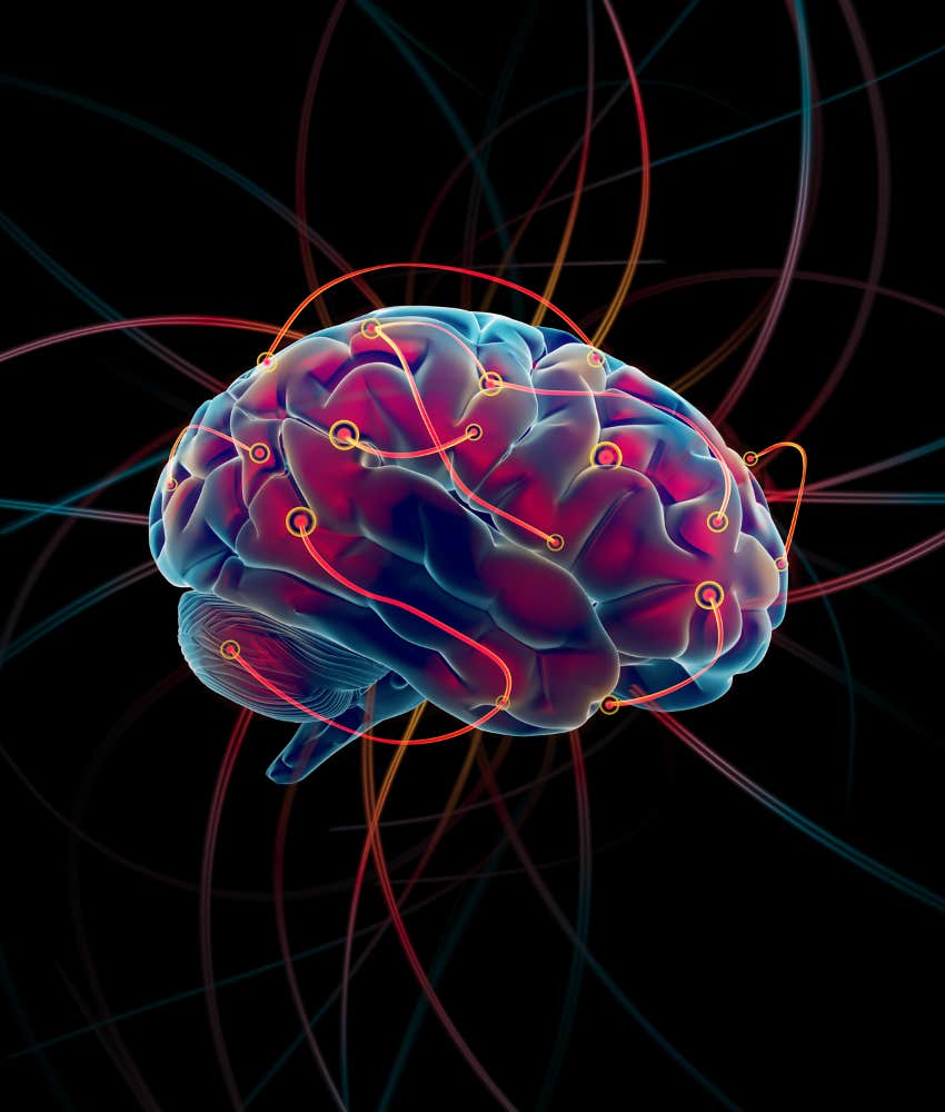 working long hours changes brain structure research