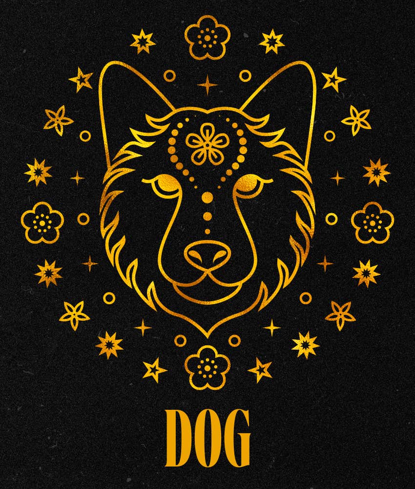 dog luckiest chinese zodiac signs june 16 - 22, 2025