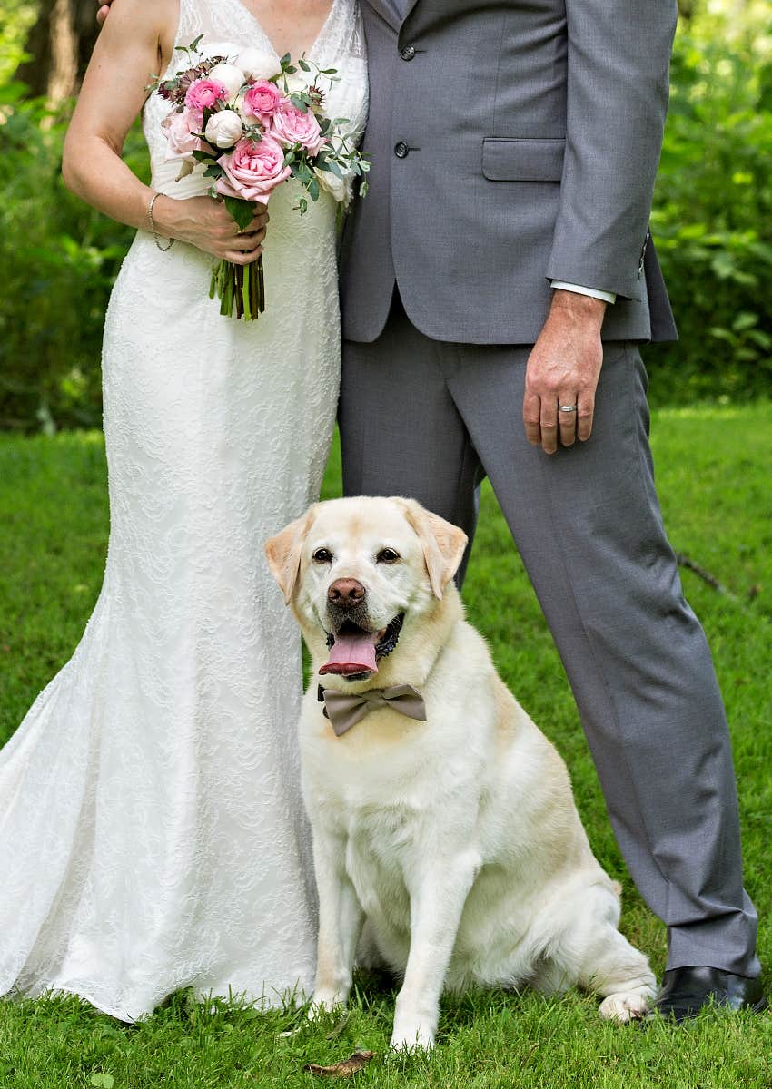 dog dressed up for owners marriage