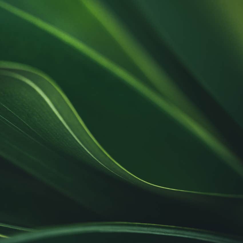 the color green and what it says about your personality