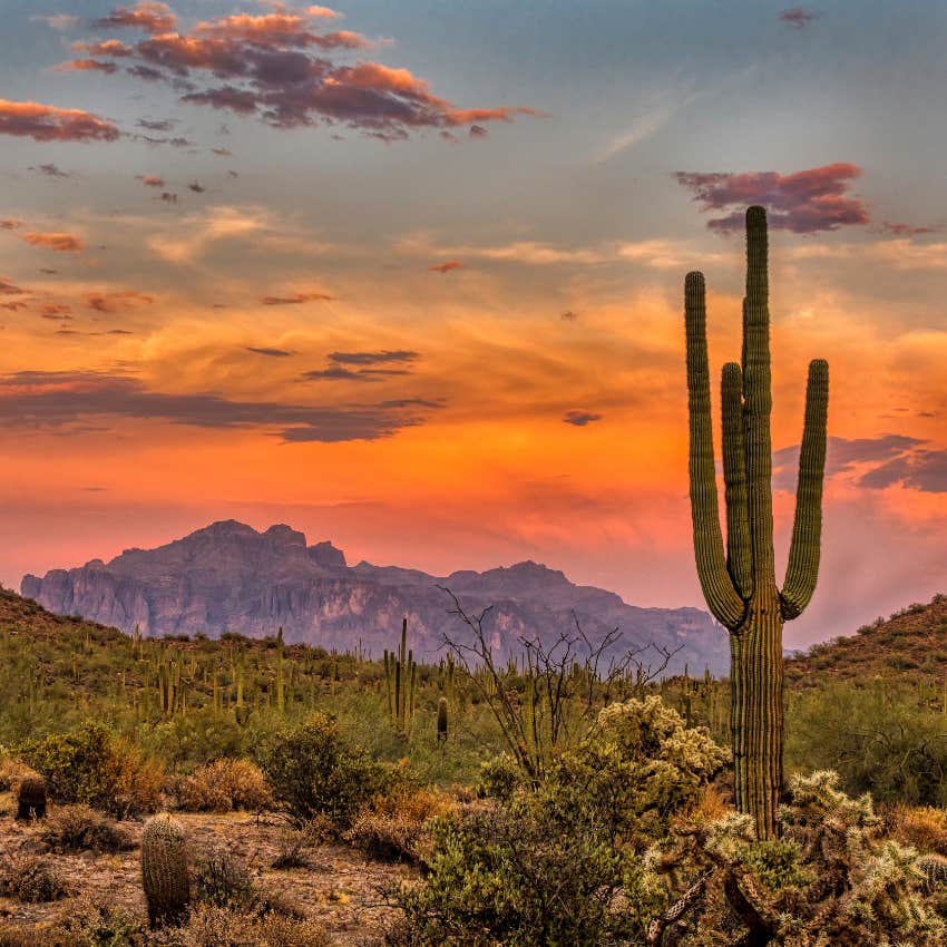 arizona where woman's husband rollerblades away
