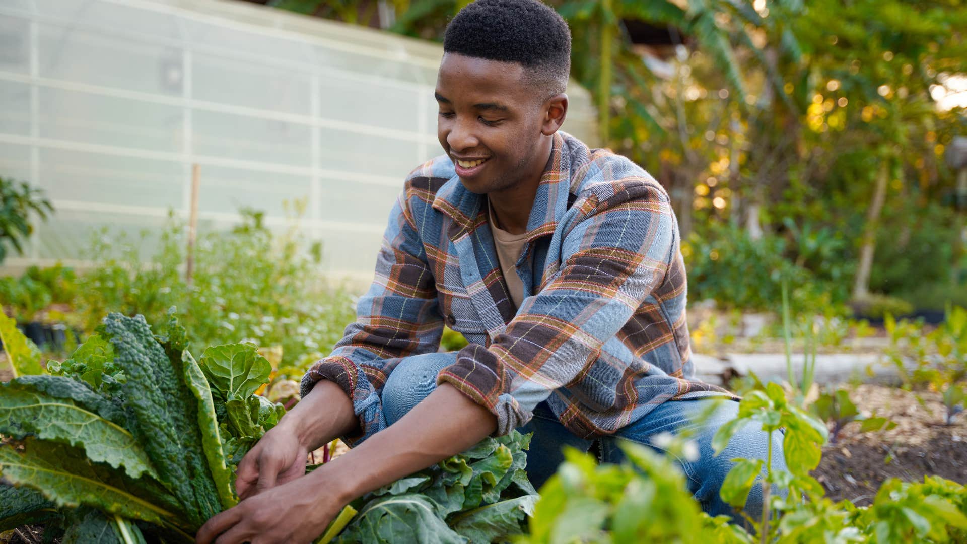 man picking things from his herb garden outside