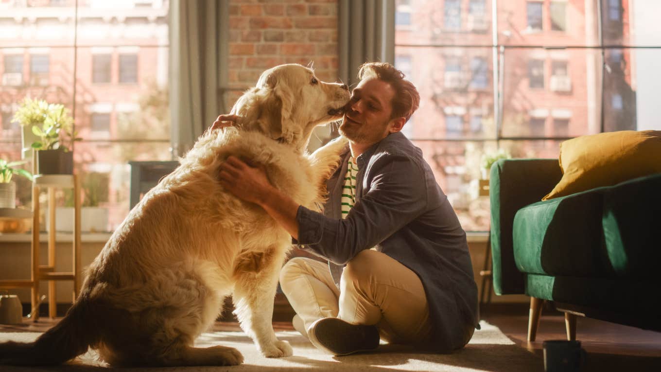 Pets Are Experts At Reading Emotions But We're Terrible At Reading Theirs Dog reading his owner's emotions but owner struggling to do the same
