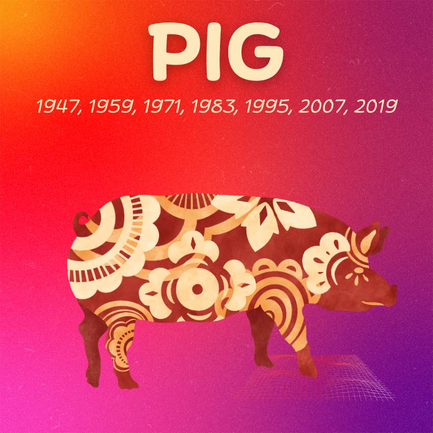 pig chinese zodiac signs monthly horoscope july 2025