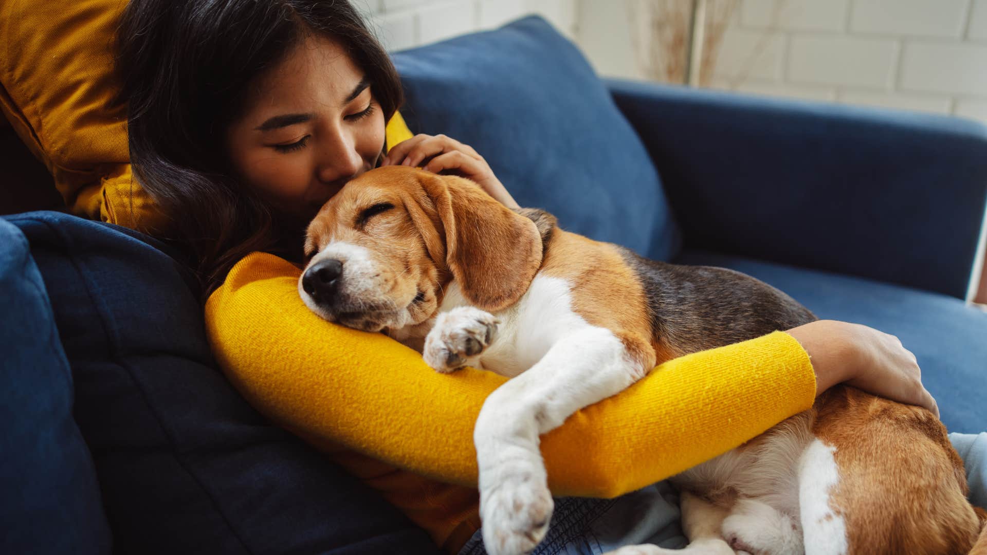 cute dog cuddling with its owner